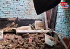संभल: आंधी-बारिश के चलते गरीब का आशियाना हुआ धराशाई, खुले आसमान के नीचे रहने को मजबूर है परिवार