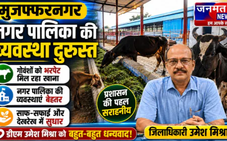मुजफ्फरनगर में गोवंशों की देखभाल में सुधार, सराही गई नगर पालिका की व्यवस्था