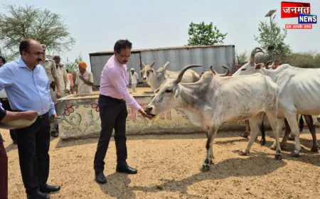 गौवंशों की सुरक्षा प्रशासन की सर्वोच्च प्राथमिकता, लापरवाही पर तय होगी जवाबदेही: उरई डीएम