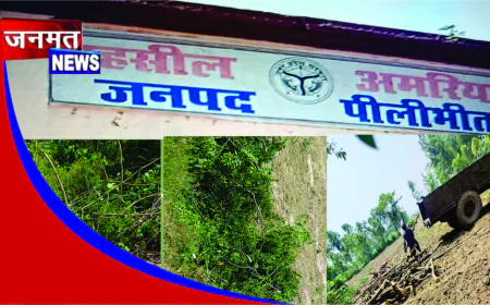 मिलक पट्टी में अवैध रूप से काटे गए कई पेड़, वन विभाग की कार्यप्रणाली पर उठे सवाल