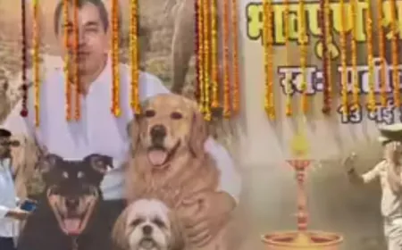 Prateek Yadav Final Journey: लखनऊ में निकली अंतिम यात्रा, भैंसाकुंड घाट पर होगा अंतिम संस्कार,शव वाहन पर पेट्स के साथ फोटो
