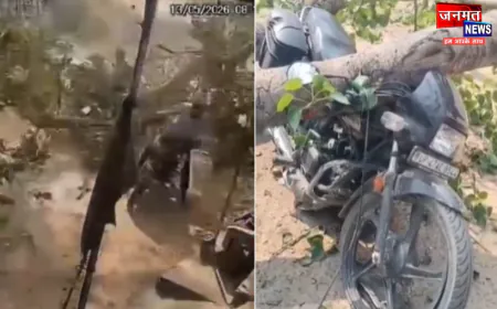 बलरामपुर: जाको राखे साइयां मार सकै ना कोय, चलती बाइक पर गिरा पेड़; बाल बाल बचे बाइक सवार