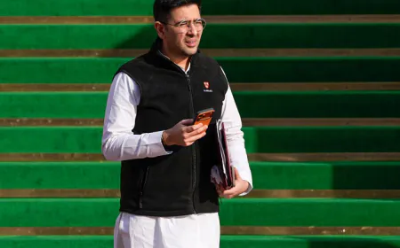 राघव चड्ढा को मिला इनाम, राज्यसभा में इस समिति का बनाया गया अध्यक्ष; 10 सदस्य भी पैनल में