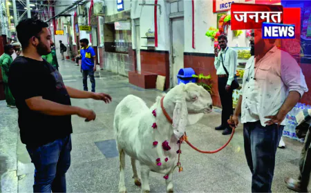 बकरीद से पहले मुगलसराय का 160 किलो का बकरा बना आकर्षण का केंद्र