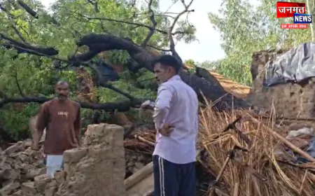 कौशाम्बी: कच्चे मकान पर गिरा पेड़, मलबे के नीचे दबकर तीन की मौत; गांव में पसरा मातम