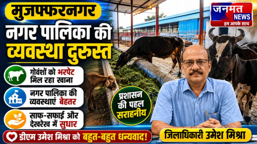 मुजफ्फरनगर में गोवंशों की देखभाल में सुधार, सराही गई नगर पालिका की व्यवस्था
