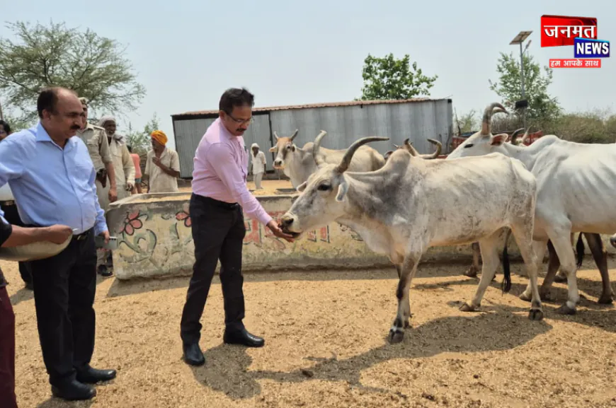 गौवंशों की सुरक्षा प्रशासन की सर्वोच्च प्राथमिकता, लापरवाही पर तय होगी जवाबदेही: उरई डीएम