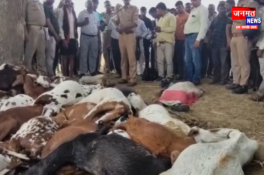 कानपुर देहात में आकाशीय बिजली का कहर, 19 वर्षीय युवती सहित 33 बकरियों की मौत; मुआवजे की मांग