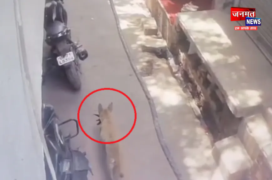 फतेहपुर: मंदिर में मांस का टुकड़ा मिलने का मामला, सीसीटीवी फुटेज जांच में हुआ खुलासा