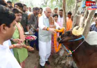 रामपुर: विश्व पर्यावरण दिवस पर हिम्मतपुर गौ आश्रय स्थल का निरीक्षण, गोवंश का पूजन-अर्चन कर किया पौधरोपण