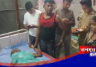 फर्रुखाबाद: जमीनी विवाद में दबंग परिवारीजनों ने महिला को मारी गोली, गंभीर घायल अवस्था में अस्पताल में भर्ती
