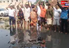 चन्दौली: गांव में जल निकासी समस्या पर फूटा ग्रामीणों का गुस्सा, प्रदर्शन कर प्रशासन से लगाई गुहार