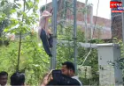 प्रतापगढ़: कुंडा के फरेंदुपुर मोहल्ले में दिखी 'शोले' वाली बसंती, वीरू के इंतजार में चढ़ गई मोबाइल टावर!