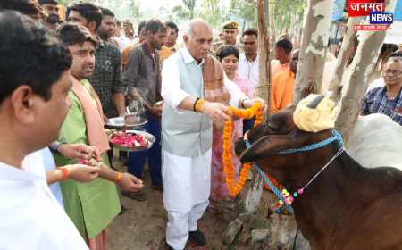 रामपुर: विश्व पर्यावरण दिवस पर हिम्मतपुर गौ आश्रय स्थल का निरीक्षण, गोवंश का पूजन-अर्चन कर किया पौधरोपण