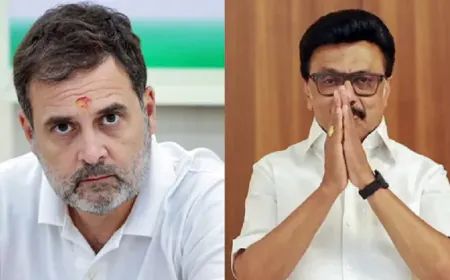 'राहुल गांधी एक बड़ा मजाक', DMK का कांग्रेस पर तीखा हमला; गठबंधन तोड़ने का लगाया आरोप