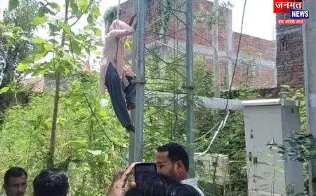 प्रतापगढ़: कुंडा के फरेंदुपुर मोहल्ले में दिखी 'शोले' वाली बसंती, वीरू के इंतजार में चढ़ गई मोबाइल टावर!