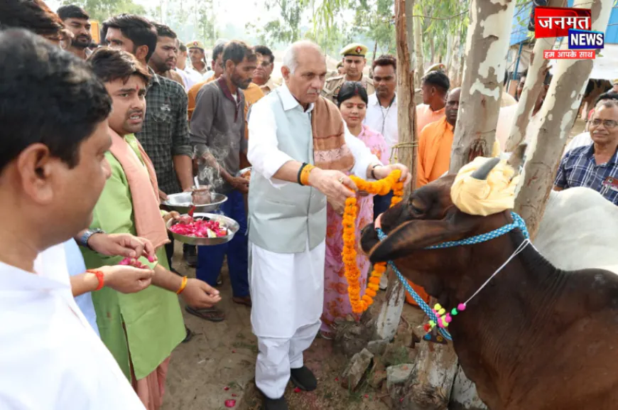 रामपुर: विश्व पर्यावरण दिवस पर हिम्मतपुर गौ आश्रय स्थल का निरीक्षण, गोवंश का पूजन-अर्चन कर किया पौधरोपण