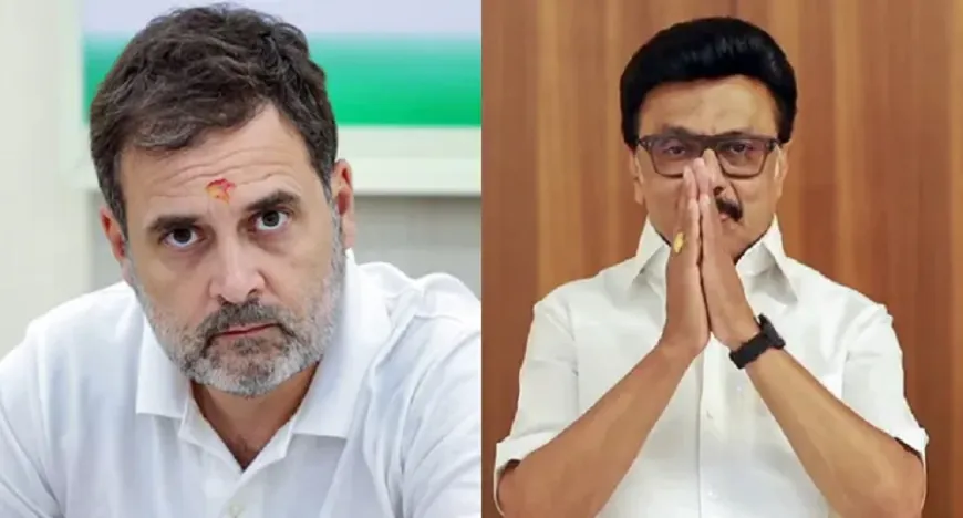 'राहुल गांधी एक बड़ा मजाक', DMK का कांग्रेस पर तीखा हमला; गठबंधन तोड़ने का लगाया आरोप