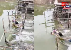 चन्दौली: गंगा नहर से किशोरी का शव मिलने से सनसनी, रील बनाने से रोकने पर आत्महत्या की आशंका