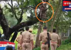 महराजगंज: आत्महत्या करने के लिए पेड़ पर चढ़ी युवती, समझा-बुझाकर लिफ्टर के जरिए उतारा गया नीचे