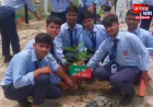 बहराइच: एक पेड़-माँ के नाम अभियान का शुभारंभ, मंत्री सुरेश राही ने लोगों से की पौधा लगाने की अपील
