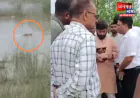 बहराइच से दिल दहलाने वाली खबर, 12 वर्षीय बच्चे को गहरे पानी में खींच ले गया मगरमच्छ