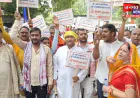 15 करोड़ हस्ताक्षर, 30 मांगें; गोमाता के सम्मान को लेकर मिर्जापुर में सौंपा गया ज्ञापन