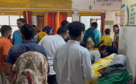 हरदोई: खेत में काम कर रहे लोगों पर गिरी आकाशीय बिजली, 6 किसान झुलसे; मेडिकल कॉलेज रेफर