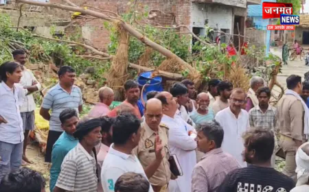 कौशाम्बी में पेड़ काटने के दौरान बड़ा हादसा, विद्युत पोल की चपेट में आने से मासूम की मौत