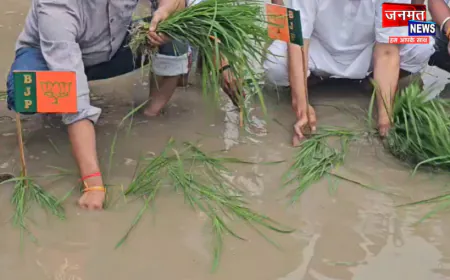 हरदोई में जलभराव पर सपा का अनोखा प्रदर्शन, सड़क पर रोपी धान की पौध; भाजपा का झंडा गाड़कर जताया विरोध