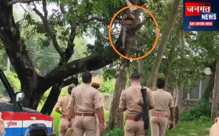 महराजगंज: आत्महत्या करने के लिए पेड़ पर चढ़ी युवती, समझा-बुझाकर लिफ्टर के जरिए उतारा गया नीचे