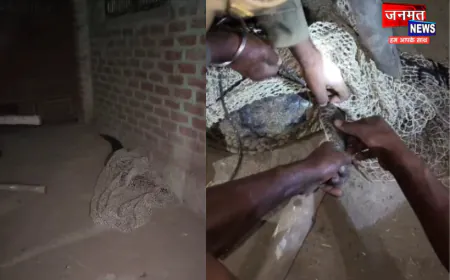 हरदोई में घर के अंदर घुसा मगरमच्छ, वन विभाग ने घंटों की मशक्कत के बाद पकड़ा