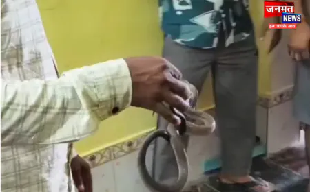 महराजगंज में सर्पदंश से मासूम की मौत, विषैले सांप को पकड़कर जंगल में सुरक्षित छोड़ा