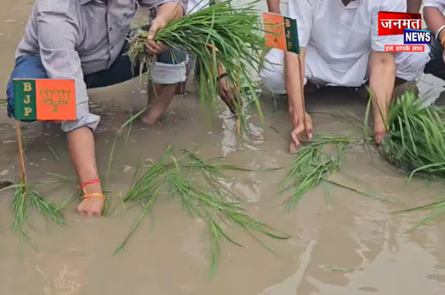 हरदोई में जलभराव पर सपा का अनोखा प्रदर्शन, सड़क पर रोपी धान की पौध; भाजपा का झंडा गाड़कर जताया विरोध