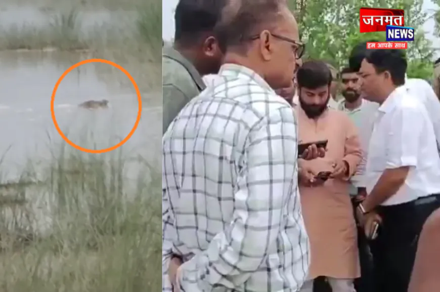 बहराइच से दिल दहलाने वाली खबर, 12 वर्षीय बच्चे को गहरे पानी में खींच ले गया मगरमच्छ