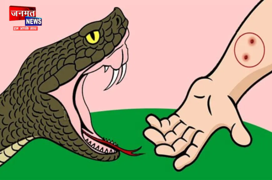 अमेठी: सर्पदंश पर झाड़-फूंक में समय गंवाना पड़ सकता है जान पर भारी, ASV ही एकमात्र इलाज
