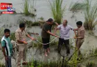 मुजफ्फरनगर: गंगा में कूदे व्यक्ति की पुलिस की तत्परता से बची जान, SSP ने टीम को किया पुरस्कृत