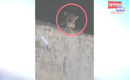 बुलंदशहर: गांव में तेंदुए की दस्तक से दहशत का माहौल, वन विभाग से सर्च अभियान चलाने की मांग