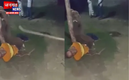 बलरामपुर में दलित युवक को दी दर्दनाक तालिबानी सजा, खंभे में बांधकर पीटने से मौत; एफआईआर दर्ज