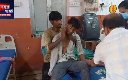 हरदोई में सांप ने युवक को डसा, भाई ने जड़े 150 थप्पड़; 15 एंटी-वेनम डोज से बची जान