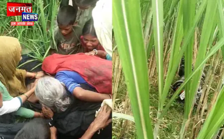 लखीमपुर खीरी: धान के खेत में मिला हिस्ट्रीशीटर का शव, इलाके में हड़कंप; जांच में जुटी पुलिस
