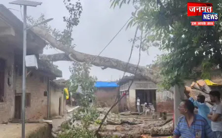 प्रतापगढ़ में पेड़ गिरने से दो महिलाएं गंभीर रूप से घायल, मकान भी क्षतिग्रस्त