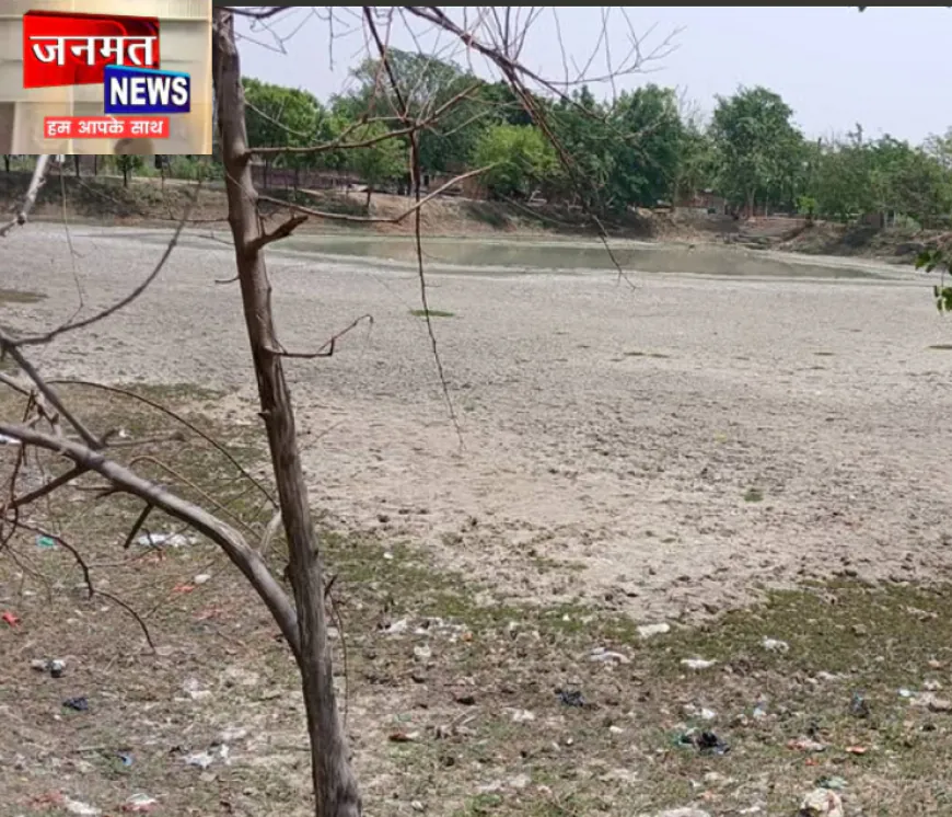 उरई में 15 जून से 3 अगस्त तक पचास फीसद भी नहीं हुई बारिश, नष्ट होने की कगार पर खरीफ की फसल