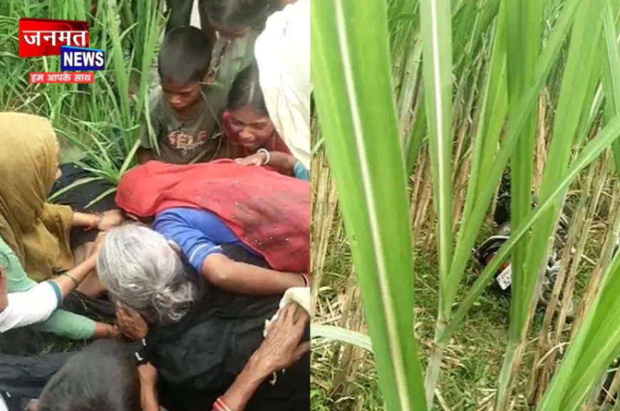 लखीमपुर खीरी: धान के खेत में मिला हिस्ट्रीशीटर का शव, इलाके में हड़कंप; जांच में जुटी पुलिस