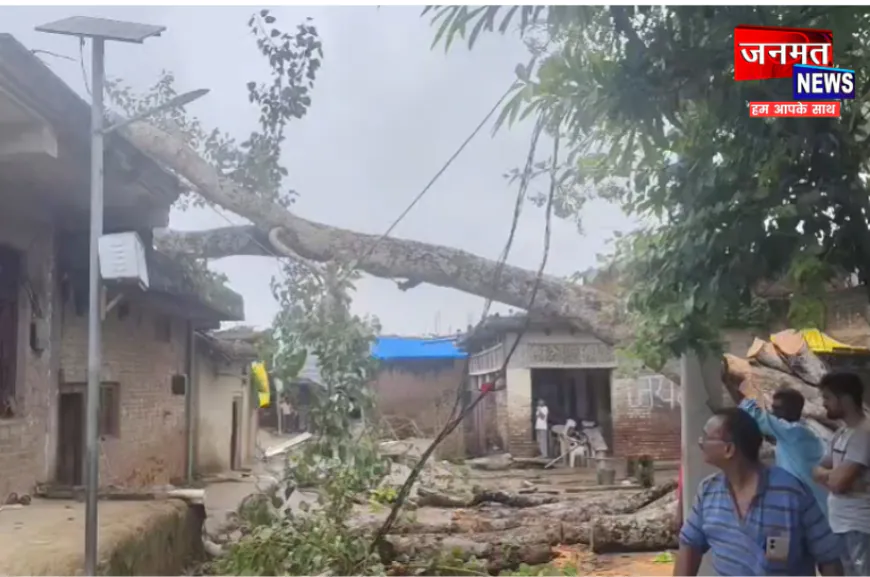 प्रतापगढ़ में पेड़ गिरने से दो महिलाएं गंभीर रूप से घायल, मकान भी क्षतिग्रस्त