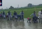 हरदोई में सड़क बनी तालाब, घुटनों तक पानी में स्कूल जाने को बच्चे मजबूर; खुली बदहाल व्यवस्था की पोल