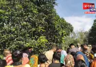 सीतापुर: आम के पेड़ से लटकता मिला युवक का शव, मौके पर पहुंची पुलिस व फॉरेंसिक टीम