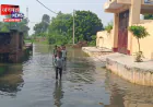 संभल में बाढ़ की चपेट में कई गांव, फसलें बर्बाद; रास्ते जलमग्न, घरों तक पंहुचा पानी