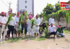 चंदौली: बदहाल सड़क को लेकर सपा का अनोखा विरोध प्रदर्शन, जलभराव वाली सड़क पर रोपा धान