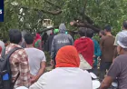 बहराइच में 72 घंटे से लगातार बारिश से जनजीवन प्रभावित, कई इलाकों में पेड़ गिरने से सड़कें बाधित